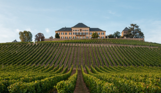 Geisenheim_vinranker_01