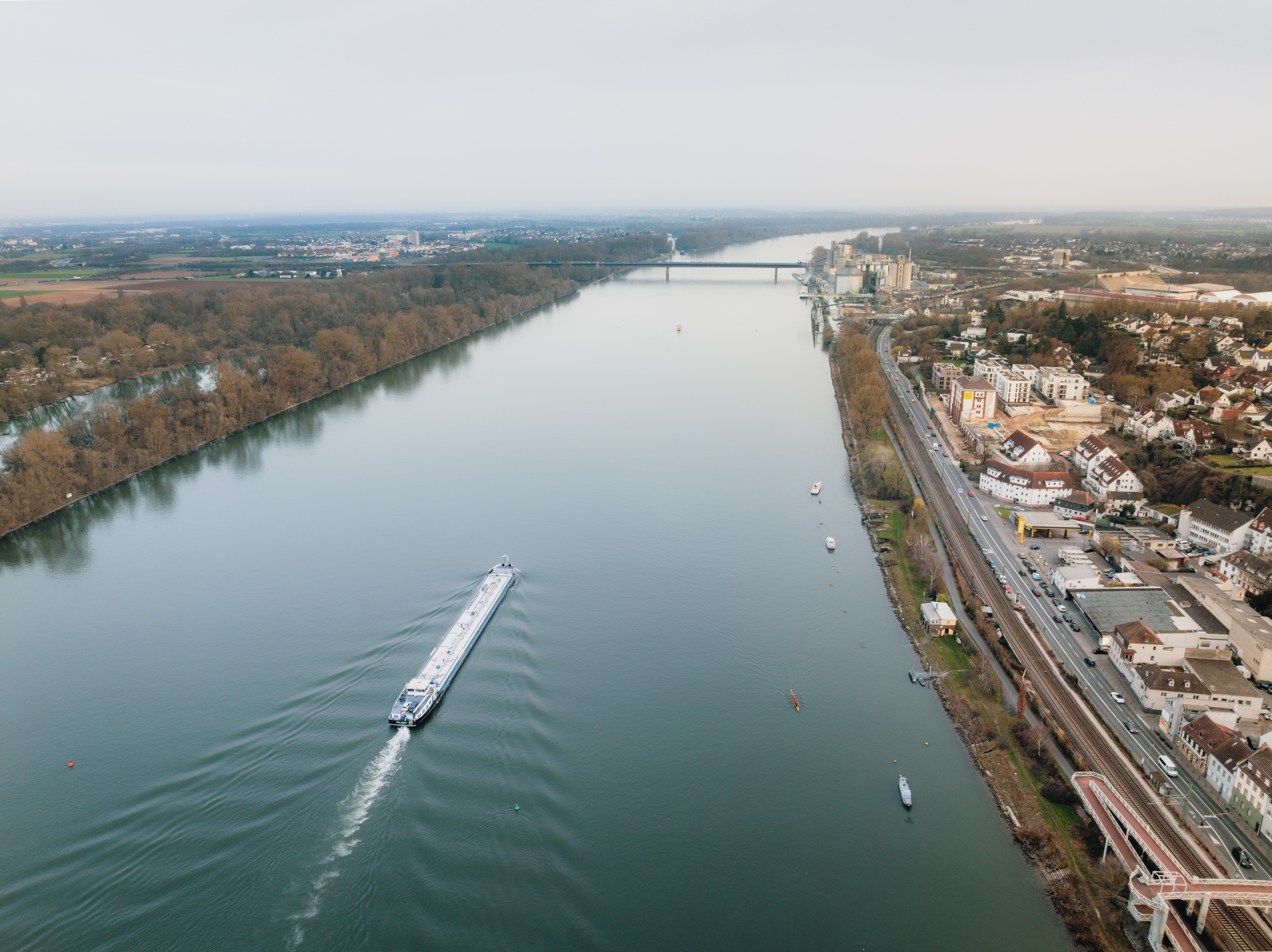 Blick auf Weisenau entlang des Rheins mit seiner typischen Uferlandschaft.
